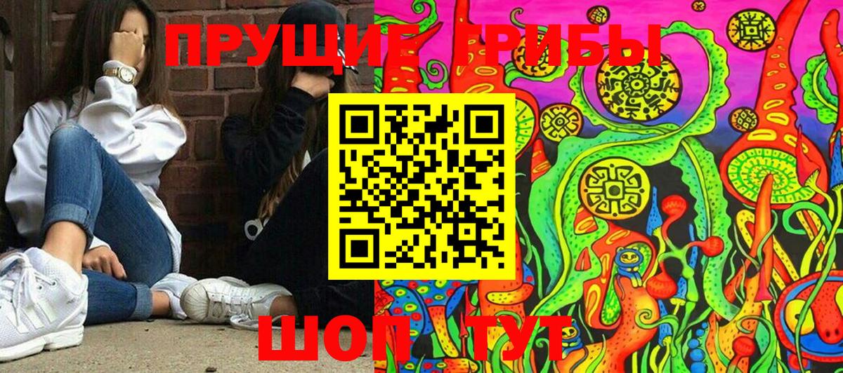магазин продажи   Галлюциногенные грибы MAGIC MUSHROOMS  Вход с VPN  Галлюциногенные грибы мухоморы  Саяногорск 